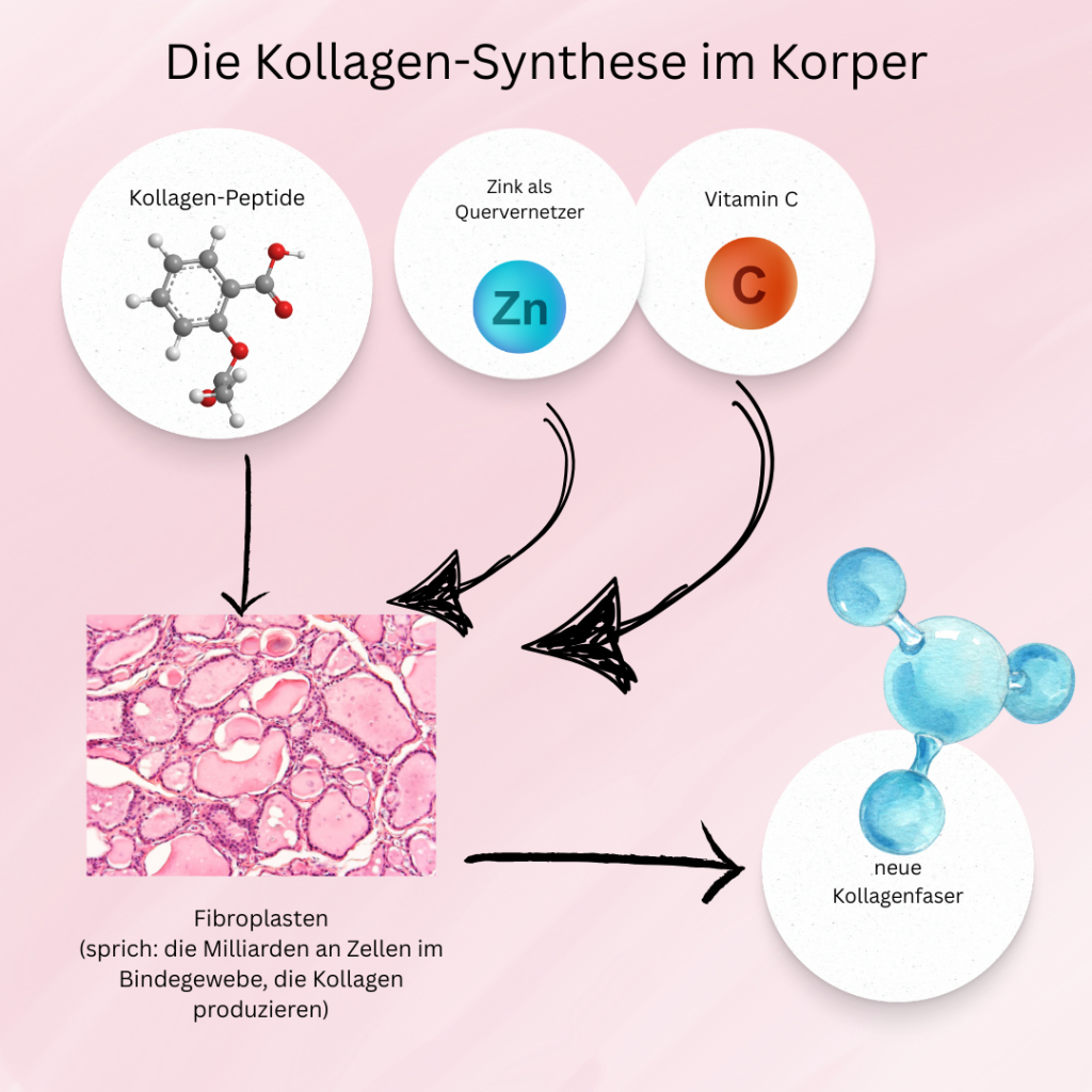 Creatine boosts muscle strength, exercise performance, recovery, cognitive function, and offers additional health benefits, all supported by scientific research.